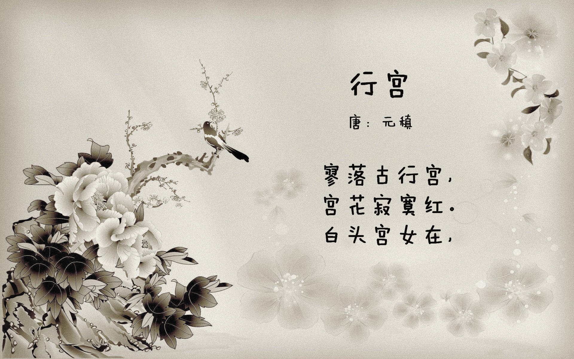 中国队首次参赛即夺冠,展现强大实力,中国队第一次拿金牌