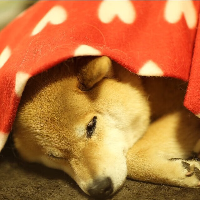 尤文小组赛战绩2胜1负,排名第二晋级16强,尤文经典比赛