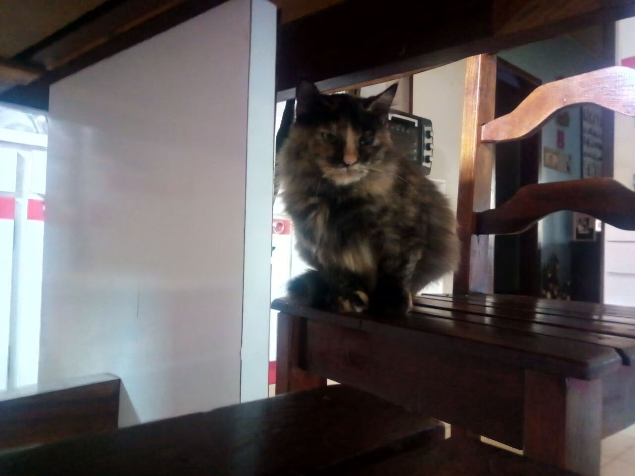 开云网址入口-法国队接力配速合理策略成功，法国队配置