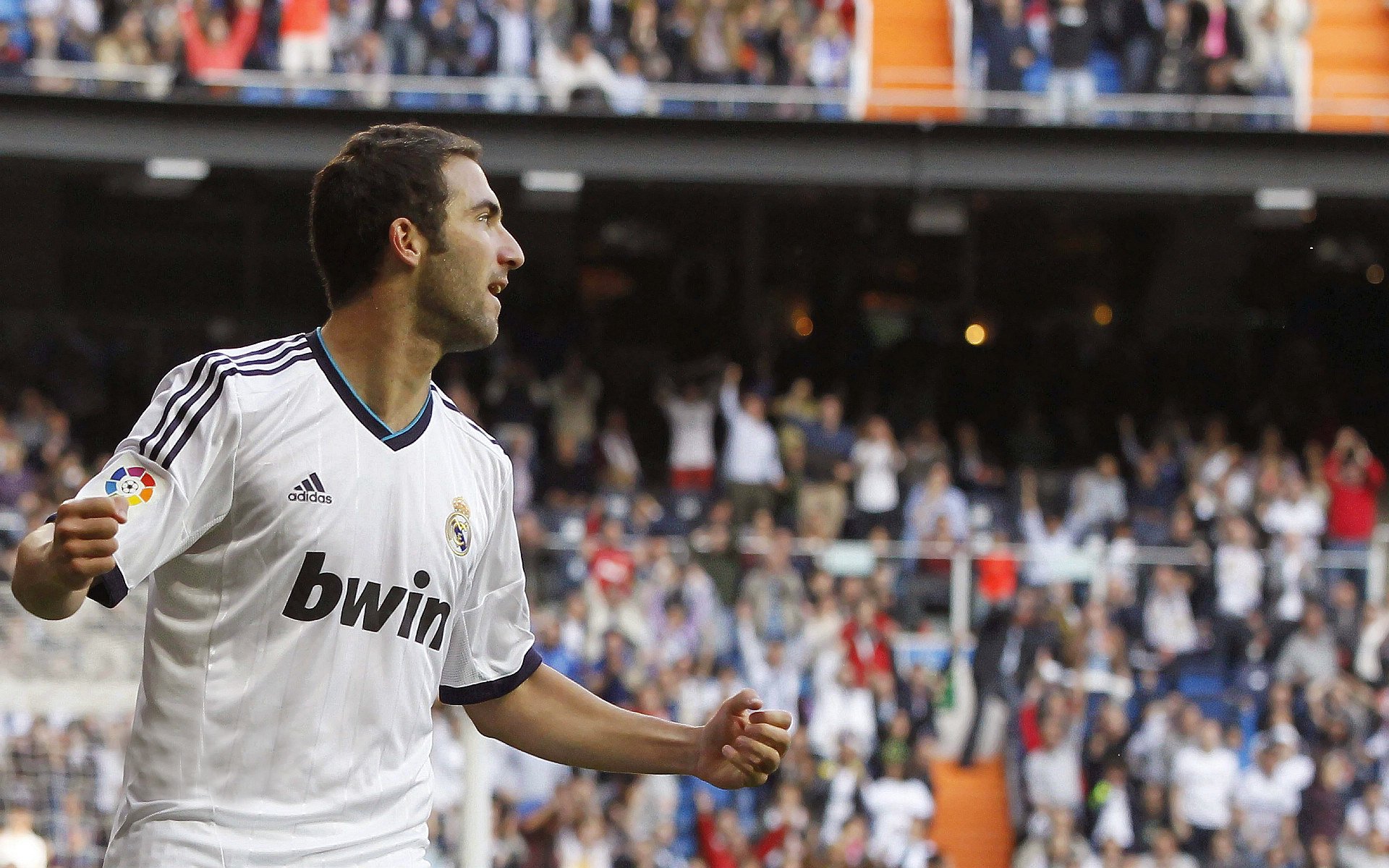 体育文化影响力提升，体育文化的力量